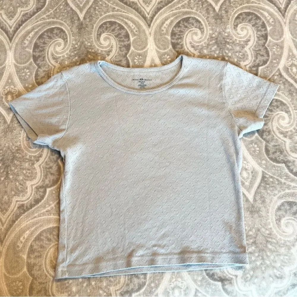 Brandy Melville baby blue heart design crop top